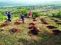 उजाड डोंगर हिरवा करण्याचा तरु णांचा संकल्प, पहिल्या टप्प्यात ५१२ खड्डे खोदले - Marathi News | In the first phase, 512 potholes were dug out | Latest raigad News at Lokmat.com