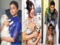 बी टाऊनचे हे तारे स्वत:पेक्षा ही करतात 'या' गोष्टीवर जीवापाड प्रेम... - Marathi News | b tone celebrities are more animal lover then self lover | Latest filmy Photos at Lokmat.com