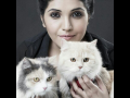 पाहा सेलिब्रिटींकडील 'या' गोऱ्या गोऱ्यापान, मनीमाऊ छान - Marathi News | meet cat pet of marathi celebrities on national hug your cat day | Latest filmy Photos at Lokmat.com