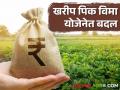Crop Insurance पिकांच्या कोणत्याही अवस्थेत नुकसान झाल्यास १०० टक्के नुकसानभरपाई देण्याचे विमा कंपन्यांना आदेश - Marathi News | Crop Insurance Mandates insurance companies to provide 100 percent compensation in case of damage to crops at any stage | Latest agriculture News at Lokmat.com