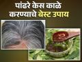 पांढरे केस मुळापासून काळे करतात हे उपाय, एकदा कराच मग बघा कमाल! - Marathi News | How to darken white hair naturally know home remedies | Latest health News at Lokmat.com