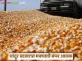 Makka Bajarbhav : चांदूर बाजारात मक्याची बंपर आवक; मध्य प्रदेशातून हजारो क्विंटल मका दाखल - Marathi News | latest news Makka Bajarbhav : bumper arrival of maize in Chandur Bazaar; Thousands of quintals of maize imported from Madhya Pradesh | Latest agriculture News at Lokmat.com