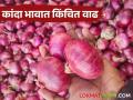 Kanda Bajar Bhav : चाकण बाजार समितीत कांद्याची आवक घटली; भावात किंचित वाढ - Marathi News | Kanda Bajar Bhav: Onion arrivals in Chakan Market Committee decrease; prices increase slightly | Latest agriculture News at Lokmat.com