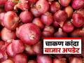 Kanda Bajar Bhav : चाकण बाजार समितीत कांद्याची मोठी आवक: कसा मिळतोय दर? - Marathi News | Kanda Bajar Bhav : Large arrival of onions in Chakan Market Committee: How are prices being obtained? | Latest agriculture News at Lokmat.com