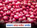 Kanda Bajar Bhav : चाकण बाजार समितीत कांद्याच्या दरात वाढ; कसा मिळाला दर? - Marathi News | Kanda Bajar Bhav : Onion price increase in Chakan Market Committee; How did the price get determined? | Latest agriculture News at Lokmat.com