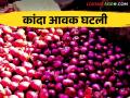 Kanda Bajar Bhav : चाकण कांदा बाजार समितीत कांद्याची आवक घटली.. कसा मिळतोय बाजारभाव - Marathi News | Kanda Bajar Bhav : Inward of onion decreased in Chakan Onion Market Committee.. How is the market price getting? | Latest agriculture News at Lokmat.com