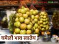 Ber Market : बाजारात 'या' बोरांची आवक वाढली; कसा मिळतोय दर ते वाचा सविस्तर - Marathi News | Ber Market : The arrival of this bre has increased in the market; Read in detail how the price is being obtained | Latest agriculture News at Lokmat.com