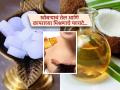 खोबऱ्याच्या तेलात कापूर घालून लावल्यास पाहा किती फायदे मिळतात? एक अनुभव, रोज कराल हा उपाय - Marathi News | Camphor and coconut oil benefits for hair and health | Latest sakhi News at Lokmat.com