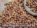 हमीभावाने हरभरा खरेदी; नाशिक जिल्ह्यात कुठे-कुठे खरेदी केंद्र, वाचा संपूर्ण यादी  - Marathi News | Latest news Harbhara Kharedi Where are the purchase centers in Nashik district, read the complete list | Latest agriculture News at Lokmat.com