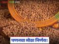 Chana Procurement : शेतकऱ्यांसाठी गुड न्यूज; 'पणन'कडून हरभरा खरेदीला हिरवा कंदील - Marathi News | latest news Chana Procurement: Good news for farmers; Green light for procurement of chana from 'Panaan' | Latest agriculture News at Lokmat.com