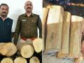 Sandalwood Smuggling: छत्तीसगडमध्ये पांढऱ्या चंदनाची तस्करी, 5 लाखांचा मुद्देमाल जप्त; 'पुष्पराज' फरार - Marathi News | Smuggling of white sandalwood in Bilaspur Chhattisgarh, Sandalwood of worth Rs 5 lakh seized | Latest national News at Lokmat.com