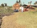 पशुधनाच्या चाऱ्यासाठी जिल्हा सज्ज; खासगी उद्योगांना आवाहन - Marathi News | District ready for feeding fodder; Appeal to private industries | Latest raigad News at Lokmat.com