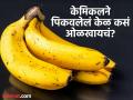 केळ केमिकलने पिकवलंय की नॅचरली पिकलंय कसं ओळखाल? पोटात विष जाण्याआधी वाचा सोप्या टिप्स! - Marathi News | How to identify that banana is ripe with carbide chemical | Latest food News at Lokmat.com