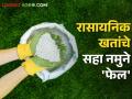 बियाणाचे ८८ नमुने तपासणीत 'पास' तर रासायनिक खताच्या सहा नमुन्यांचा अहवाल 'फेल' - Marathi News | 88 samples of seeds 'pass' in inspection while report of six samples of chemical fertilizer 'fail' | Latest agriculture News at Lokmat.com