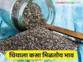 Chia Market Update: पाच दिवसांत 'चिया'ला कसे मिळाले दर ते वाचा सविस्तर - Marathi News | Read in detail how 'Chia' got the price in five days | Latest agriculture News at Lokmat.com