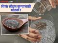 'या' लोकांनी चुकूनही करू नये चिया सीड्सचं सेवन, आरोग्यासाठी पडू शकतं महागात! - Marathi News | These people should not eat chia seeds even by mistake | Latest health Photos at Lokmat.com