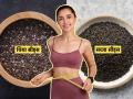 सब्जा की चिया सीड्स? वेटलॉस आणि तब्येतीसाठी फायद्याचं काय, खिशाला परवडतं काय? - Marathi News | chia seeds or sabja which is better for weight loss chia seeds & sabja seeds which is better for weight loss | Latest sakhi News at Lokmat.com