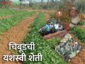Farmer Success Story : एक एकरमध्ये साडेचार टन चिबूड उत्पादन घेणारे शेतकरी लहू खापरेंची यशकथा - Marathi News | Farmer Success Story: The success story of farmer Lahu Khapare who produced four and a half tons of chibud vegetable per acre | Latest agriculture News at Lokmat.com