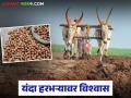 Harbara Crop : रब्बी हंगामाला गती; यंदा हरभऱ्यावर शेतकऱ्यांचा 'भारी' भरोसा - Marathi News | latest news Harbara Crop: Rabi season gains momentum; Farmers have 'heavy' faith in gram this year | Latest agriculture News at Lokmat.com