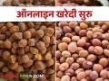 बारामतीत तूर, हरभरा खरेदीसाठी ऑनलाइन नोंदणी सुरू - Marathi News | Online registration for purchase of tur, gram in Baramati started | Latest agriculture News at Lokmat.com
