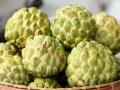 चिखली तालुक्यातील सीताफळ जयपूर, इंदुरच्या बाजारात  - Marathi News | Custard Apple of Chikhali taluka in the market of Jaipur, Indore | Latest buldhana News at Lokmat.com