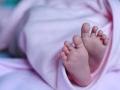खळबळजनक ! बसस्थानक परिसरातील कचऱ्यात आढळले मृत अर्भक - Marathi News | Shocking! Dead infants thrown in garbage in bus stand area | Latest beed News at Lokmat.com