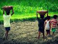बालकामगार शोधणार कसे, वर्षभरापासून धाडसत्रच राबविले नाही - Marathi News | How to find child labor, has not been carried out search operation for a year | Latest vashim News at Lokmat.com