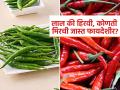 हिरवी मिरची आणि लाल मिरची यांपैकी कोणती मिरची आरोग्यासाठी अधिक फायदेशीर ठरते? - Marathi News | Which chili is more beneficial green or red you must know | Latest sakhi News at Lokmat.com