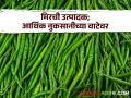 Chilli Market आमठाणा येथील बाजारात मिरचीचा दरात कमालीची घसरण; शेतकऱ्यांचे मोठे आर्थिक नुकसान - Marathi News | Chilli Market The price of chillies in the market of Amthana has fallen dramatically; Huge economic loss to farmers | Latest agriculture News at Lokmat.com