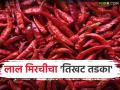 Mirchi Market : गुंटूर बाजारात आवक घटली; लाल मिरचीचे दर आणखी वधारणार का? वाचा सविस्तर - Marathi News | latest news Mirchi Market: Arrivals in Guntur market decrease; Will the prices of red chillies increase further? Read in detail | Latest agriculture News at Lokmat.com