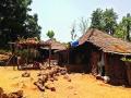 चिंभावे धनगरवाडीकडे शासनाचे दुर्लक्ष - Marathi News | The neglect of government in Chinhbhav Dhangarwadi | Latest raigad News at Lokmat.com