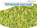 Bedana Market : चोरट्या मार्गाने आलेल्या चिनी बेदाण्याने भारतीय बेदाण्याचे मार्केट केले काबीज - Marathi News | Bedana Market : Chinese currants smuggled in have captured the Indian currant market | Latest agriculture News at Lokmat.com
