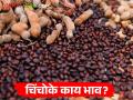 Tamarind Market : चिंचोक्यांची गहू-बाजरीशी बरोबरी, काय बाजारभाव मिळतोय? वाचा सविस्तर  - Marathi News | Latest News Todays tamarind market price in Ahmednagar market yard check here | Latest agriculture News at Lokmat.com