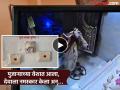 Video : पुजाऱ्याच्या वेशात आला, देवाला हात जोडले अन्....! मंदिरातील थरार सीसीटीव्हीत कैद - Marathi News | pimpari-chinchwad crime News Hands folded to God A silver crown disappeared in a moment! Shocking incident in Chinchwad | Latest pimpri-chinchwad News at Lokmat.com