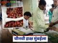 Chinese Grapes : चीनमधील द्राक्ष मुंबई मार्केटमध्ये, महाराष्ट्रातील द्राक्षांवर संक्रात, वाचा सविस्तर  - Marathi News | Latest News Chinese Grapes Grapes from China in Mumbai vashi fruit market read in detail | Latest agriculture News at Lokmat.com