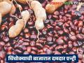 Tamarind Seeds Market Price : चिंचोक्याने बाजारात मारली दमदार एन्ट्री; आता मिळतोय गव्हाएवढा भाव! - Marathi News | latest news Tamarind Seeds Market Price: Tamarind has made a strong entry in the market; Now it is getting the same price as wheat! | Latest agriculture News at Lokmat.com