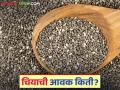 Chia Market : वाशिमच्या बाजारात चियाची २२०० क्विंटल आवक; कसा मिळतोय दर ते वाचा सविस्तर - Marathi News | Chia Market: 2200 quintals of chia arrived in Washim market; Read in detail how the price is being obtained | Latest agriculture News at Lokmat.com