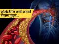 High Cholesterol कमी करणारे ५ नॅचरल फूड्स, रोज खाल तरच टळेल गंभीर हृदयरोगाचा धोका - Marathi News | Doctor tells best foods to reduces cholesterol naturally | Latest sakhi News at Lokmat.com
