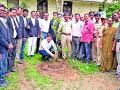 चोपडा येथे न्यायालय आवारात वृक्षारोपण - Marathi News | Plantation in court premises at Chopda | Latest jalgaon News at Lokmat.com