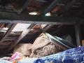 मालवण बाजारपेठेतील किराणा दुकानात चोरी - Marathi News | Theft at a grocery store in Malvan market | Latest sindhudurga News at Lokmat.com