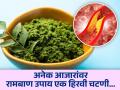 आयुर्वेद डॉक्टरांनी सांगितली एका खास चटणीची रेसिपी, खाल तर अनेक समस्या होतील दूर... - Marathi News | Ayurvedic green chutney to treat diabetes, cholesterol and high blood pressure etc | Latest health News at Lokmat.com