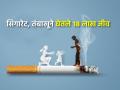 रोज ६,५०० तरुणांची तंबाखूसेवनाला सुरुवात, दरवर्षी १८ लाख जण गमावतात आपला जीव - Marathi News | 6,500 youth start using tobacco every day, 1.8 million people lose their lives every year | Latest national News at Lokmat.com
