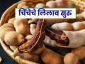 Chinch Bajar Bhav : चिंचेसाठी प्रसिद्ध असणाऱ्या सुपे बाजार समितीत चिंच लिलावाला सुरवात; कसा मिळतोय दर? - Marathi News | Chinch Bajar Bhav : Tamrind auction start at famous Supe Market Committee; How is the price being obtained? | Latest agriculture News at Lokmat.com