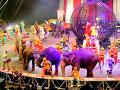 जन्मदिन भारतीय सर्कसचा  - Marathi News | Birthday of Indian Circus | Latest manthan News at Lokmat.com