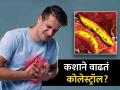 कोलेस्ट्रॉल शरीरात कशामुळे वाढतं? जाणून घ्या लक्षणं... - Marathi News | What are the reason of high cholesterol? know the symptoms | Latest health News at Lokmat.com