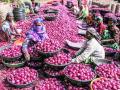 कांद्याचे दर गेले शंभरीपार, आयातीचे नियम शिथिल - Marathi News | Onion prices have gone up by hundreds | Latest maharashtra News at Lokmat.com