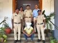 कळंगुट येथे गांजा जप्त; संशयित सापळ्यात अडकला, गुन्हा दाखल - Marathi News | Cannabis seized at Calangute; Suspect trapped, case registered | Latest goa News at Lokmat.com