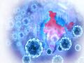Coronavirus: फेब्रुवारी २०२१ पर्यंत देशातील निम्म्या लोकसंख्येला कोरोनाची लागण?; सरकारी तज्ज्ञ म्हणतात... - Marathi News | India 50 Percent Population May Have Had Coronavirus By February Estimates Govt Panel | Latest national Photos at Lokmat.com