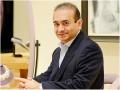 Nirav Modi: नीरव मोदीने मला मारुन टाकण्याची धमकी दिली; ब्रिटीश कोर्टात ‘त्या’ व्यक्तीचा व्हिडीओ सादर - Marathi News | Nirav Modi Told Me He Would Get Me Killed, Dummy Director To UK Court pnm | Latest international News at Lokmat.com