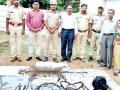 वन्य प्राण्यांची शिकार करणारी आंतरराज्य टोळी गजाआड - Marathi News | Gajaad, an interstate gang that hunted wild animals | Latest chandrapur News at Lokmat.com